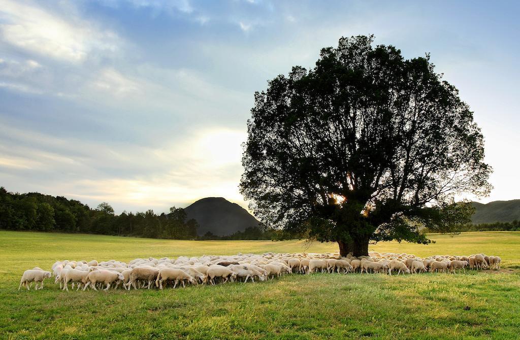 La Borda De Pastores Sabinanigo Luaran gambar